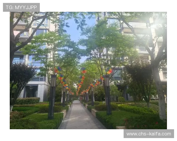 探索K8凯发国际首页的多元化娱乐场所，带你走进精彩无限的游戏世界