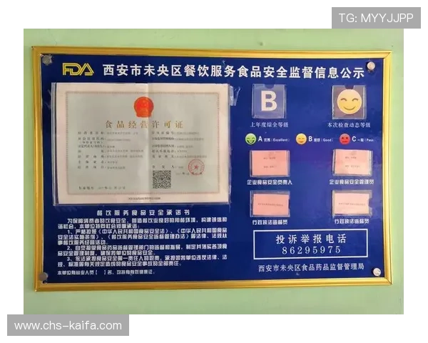 凯发娱乐集团娱乐平台客户服务与安全保障措施全面介绍保障您的资金安全