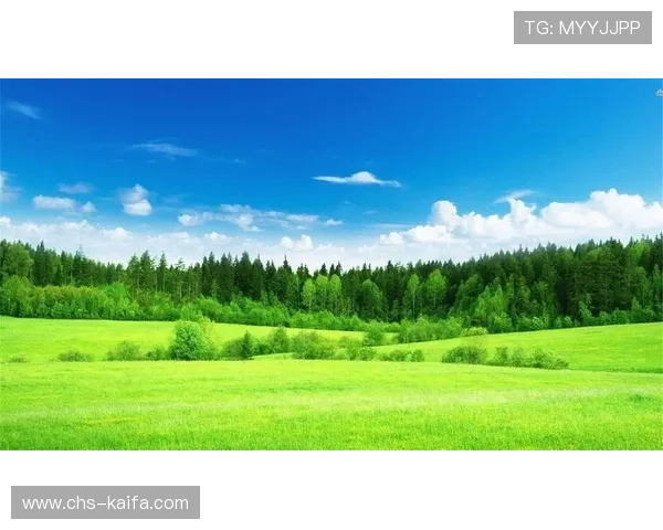 凯发线上官方网站积极响应国家政策，推动绿色安全的线上娱乐环境建设