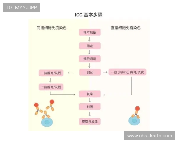 凯发集团会员注册流程操作流程,详细讲解每个环节的具体操作步骤 凯发集团会员注册流程操作流程,详细讲解每个环节的具体操作步骤